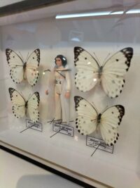 IMG20220216134540